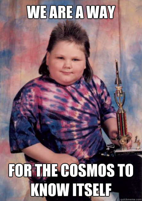 WE ARE A WAY FOR THE COSMOS TO KNOW ITSELF  Cocky Fat Kid