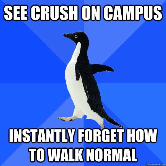 see crush on campus instantly forget how to walk normal  Socially Awkward Penguin