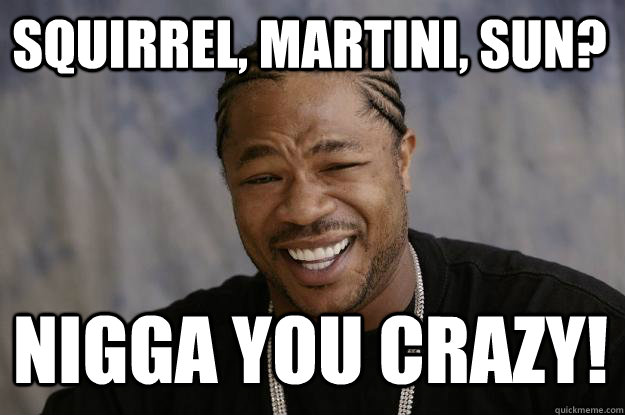 Squirrel, Martini, Sun? Nigga you crazy!  Xzibit meme