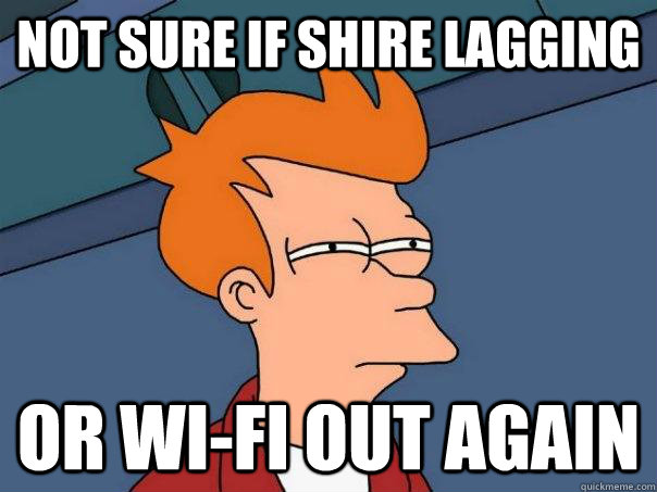 Not sure if Shire lagging or wi-fi out again  Futurama Fry