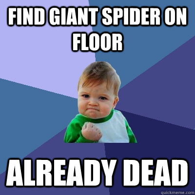 Find giant spider on floor already dead  Success Kid