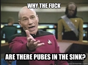 why the fuck Are there pubes in the sink?  Annoyed Picard