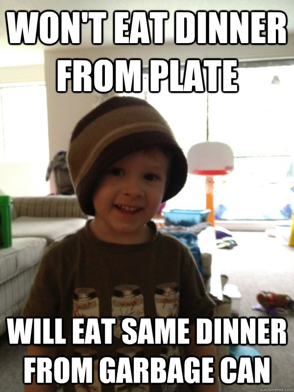 won't eat dinner from plate will eat same dinner from garbage can - won't eat dinner from plate will eat same dinner from garbage can  Scumbag Toddler