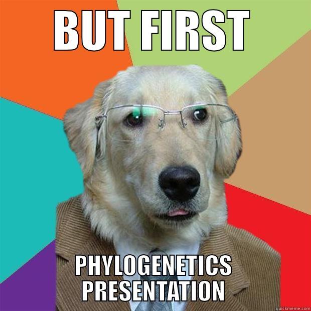 BUT FIRST PHYLOGENETICS PRESENTATION Business Dog