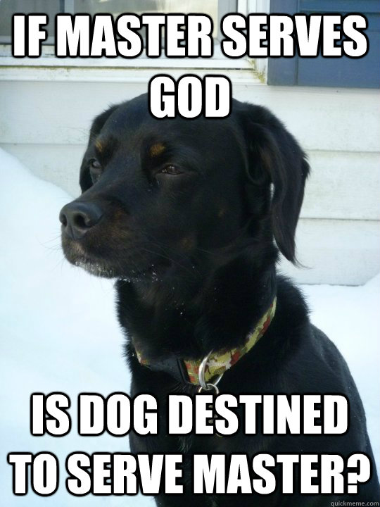 If master serves GOD is dog destined to serve master?  Philosophical Puppy