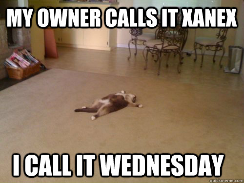 My owner calls it Xanex I call it wednesday  Down Cat