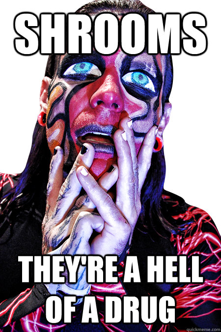 shrooms they're a hell of a drug  jeff hardy on drugs