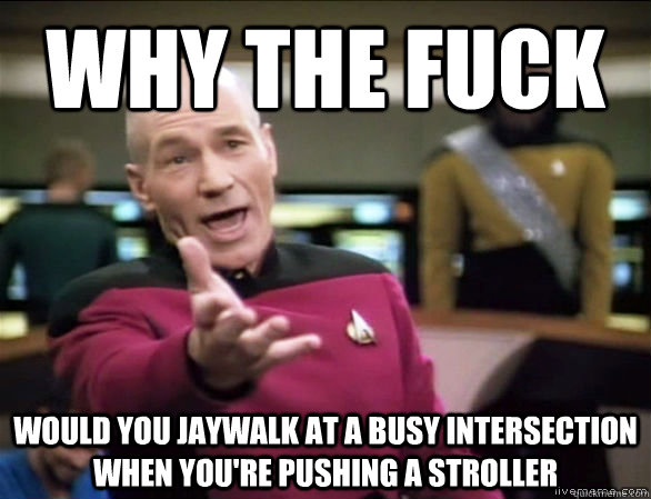 Why the fuck would you jaywalk at a busy intersection when you're pushing a stroller - Why the fuck would you jaywalk at a busy intersection when you're pushing a stroller  Annoyed Picard HD