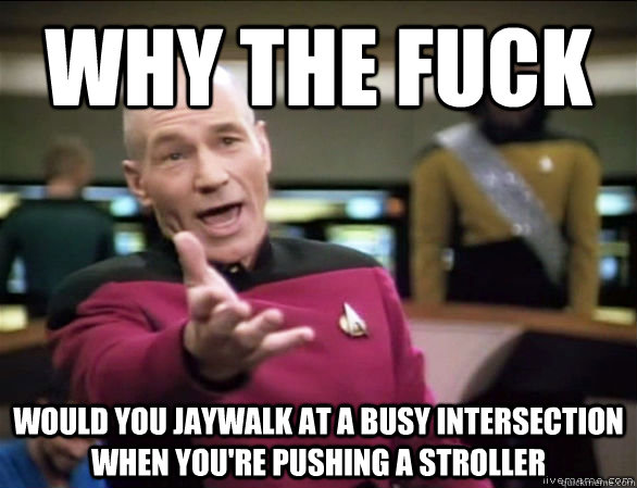 Why the fuck would you jaywalk at a busy intersection when you're pushing a stroller  Annoyed Picard HD