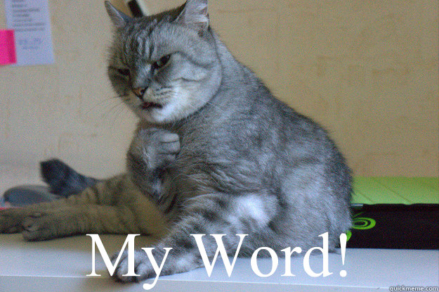   My Word!  Disgusted Fancy-Cat