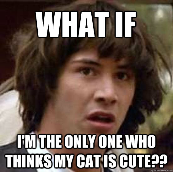 What if  i'm the only one who thinks my cat is cute??  conspiracy keanu