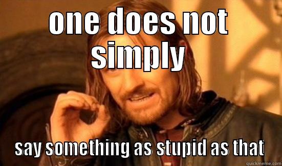 as stupid as that - ONE DOES NOT SIMPLY SAY SOMETHING AS STUPID AS THAT Boromir