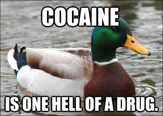 Cocaine Is one hell of a drug.  Actual Advice Mallard