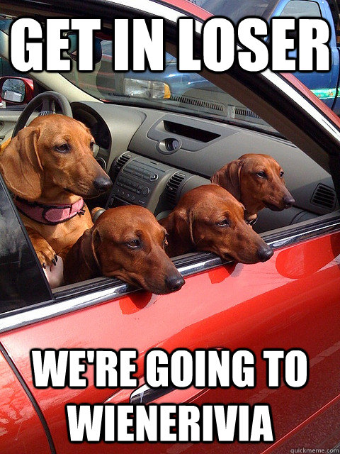 Get in loser We're going to wienerivia - Get in loser We're going to wienerivia  doxie mea ngirls