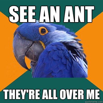 See an ant They're all over me  Paranoid Parrot