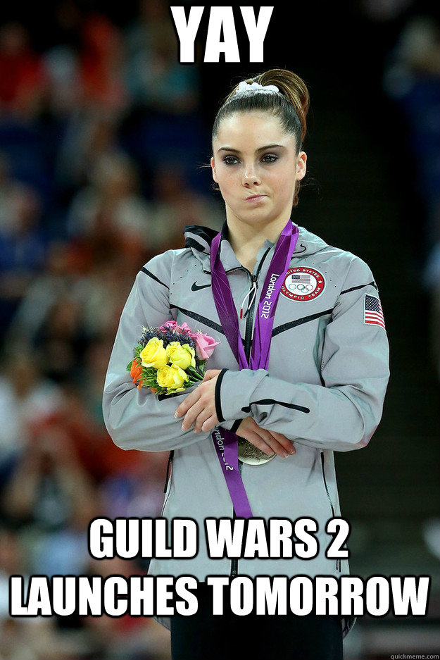 Yay Guild Wars 2 Launches Tomorrow - Yay Guild Wars 2 Launches Tomorrow  Unimpressed McKayla