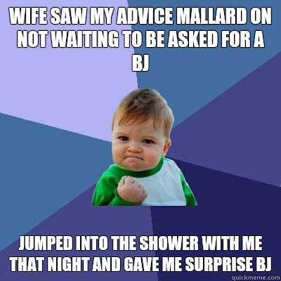 Wife saw my advice mallard on not waiting to be asked for a bj Jumped into the shower with me that night and gave me surprise bj  Success Kid