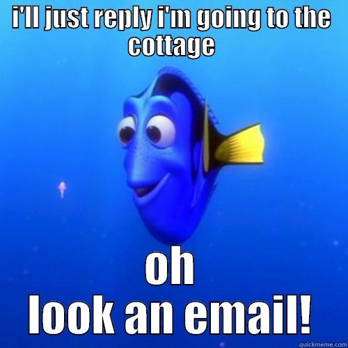 I'LL JUST REPLY I'M GOING TO THE COTTAGE OH LOOK AN EMAIL! dory