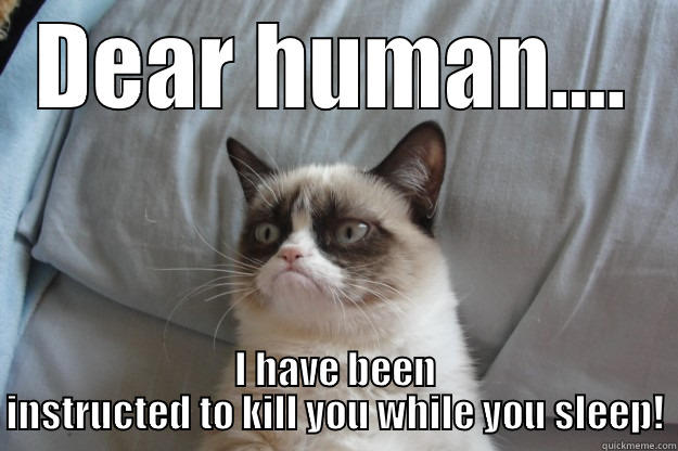 DEAR HUMAN.... I HAVE BEEN INSTRUCTED TO KILL YOU WHILE YOU SLEEP! Grumpy Cat