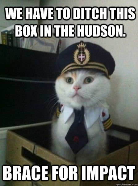 We have to ditch this box in the Hudson. Brace for Impact  Captain kitteh