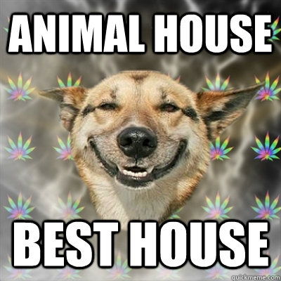 Animal House Best house  Stoner Dog