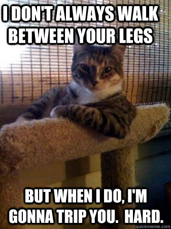 I don't always walk between your legs But when i Do, I'm gonna trip you.  Hard.  The Most Interesting Cat in the World