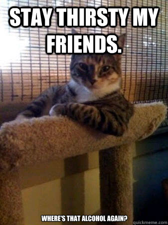 Stay thirsty my friends. Where's that alcohol again?  The Most Interesting Cat in the World