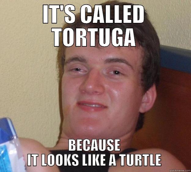IT'S CALLED TORTUGA BECAUSE IT LOOKS LIKE A TURTLE 10 Guy