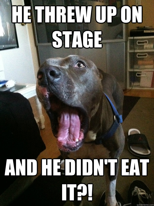 He threw up on stage and he didn't eat it?! - He threw up on stage and he didn't eat it?!  Shocked Dog
