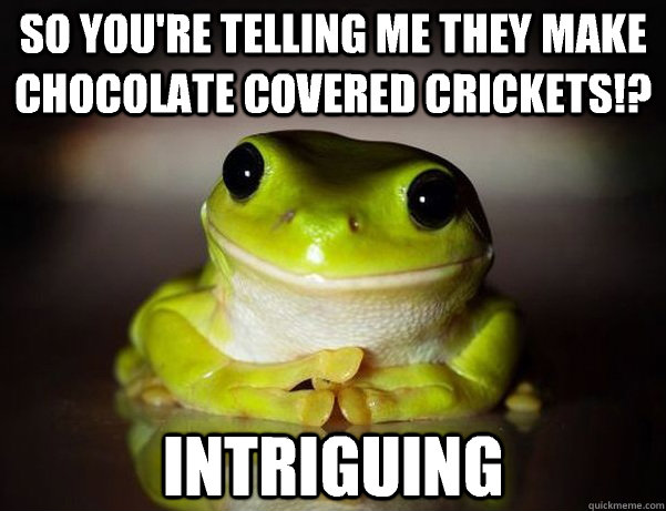 So you're telling me they make chocolate covered crickets!? Intriguing  Fascinated Frog