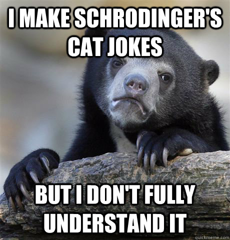 I make Schrodinger's cat jokes But I don't fully understand it  Confession Bear