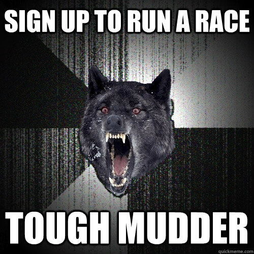 Sign up to run a race tough mudder  Insanity Wolf