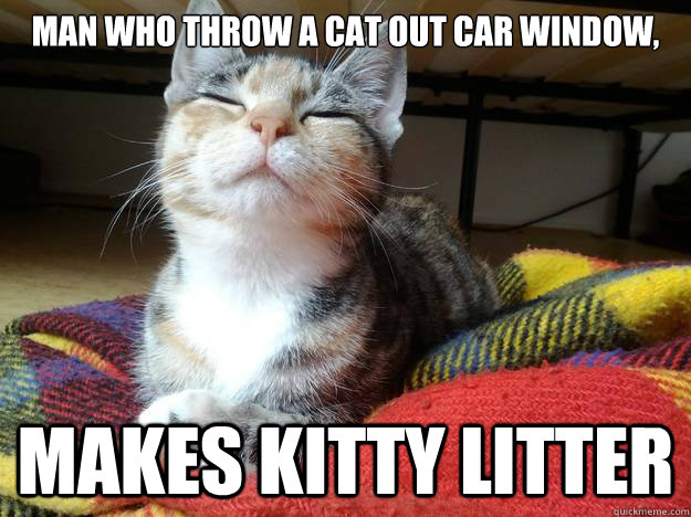 Man who throw a cat out car window, makes kitty litter - Man who throw a cat out car window, makes kitty litter  Confucius Cat