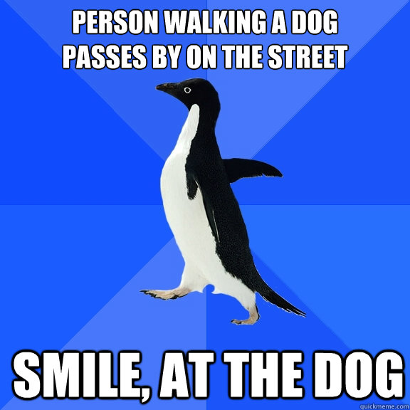 Person Walking a dog 
passes by on the street Smile, at the dog  Socially Awkward Penguin