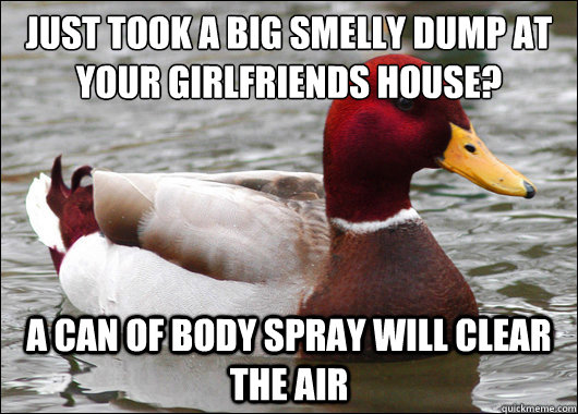 Just took a big smelly dump at your girlfriends house?
 A can of body spray will clear the air  Malicious Advice Mallard