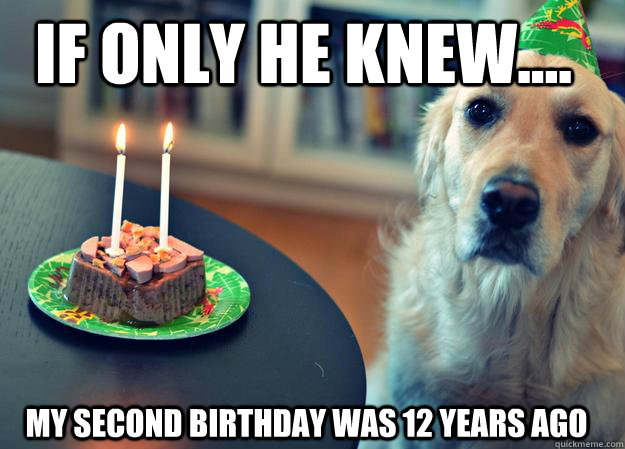 If only he knew.... my second birthday was 12 years ago  Sad Birthday Dog