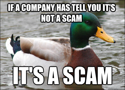 If a company has tell you it's not a scam it's a scam  Actual Advice Mallard