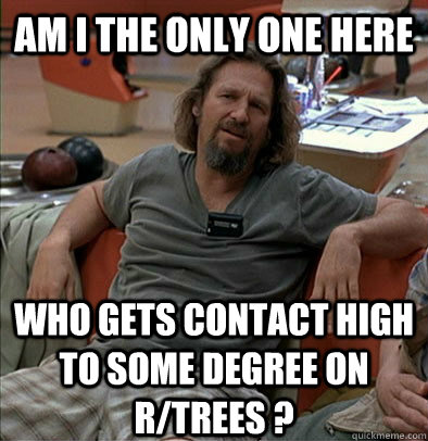 Am I the only one here who gets contact high to some degree on r/trees ?  The Dude