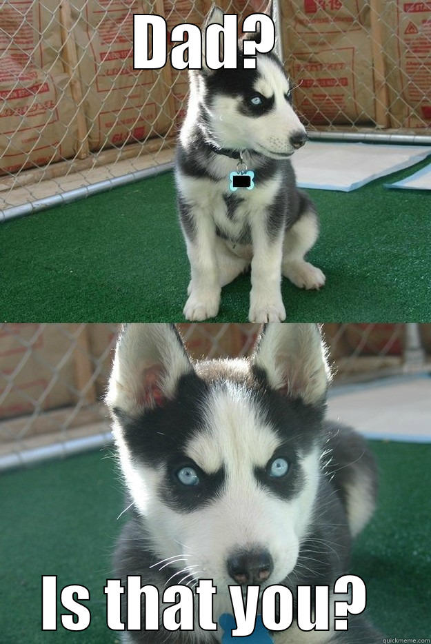 DAD?  IS THAT YOU?  Insanity puppy