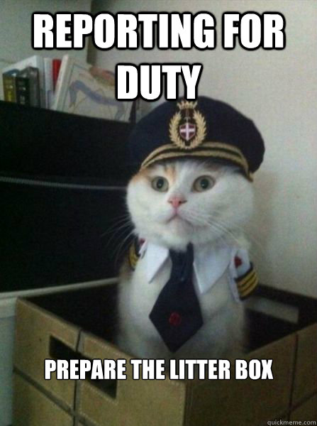 Reporting for duty prepare the litter box   