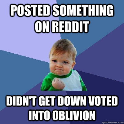 Posted something on Reddit Didn't get down voted into oblivion   Success Kid