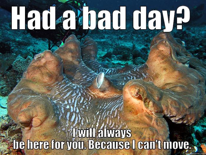 HAD A BAD DAY? I WILL ALWAYS BE HERE FOR YOU. BECAUSE I CAN'T MOVE. Misc