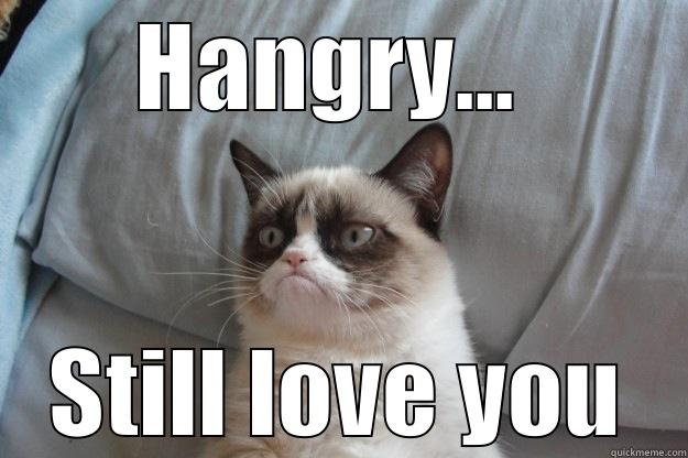 Science Romance - HANGRY...  STILL LOVE YOU Grumpy Cat