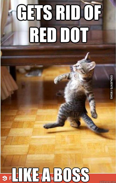 gets rid of red dot like a boss - gets rid of red dot like a boss  funny cats