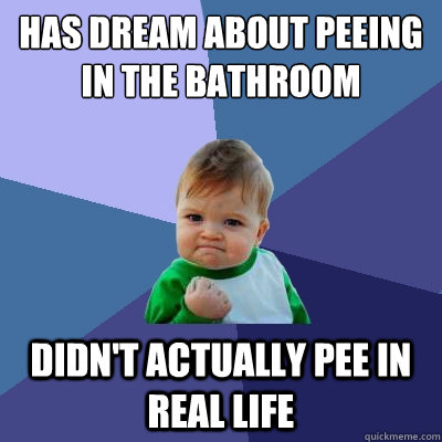 Has dream about peeing in the bathroom Didn't actually pee in real life  Success Kid