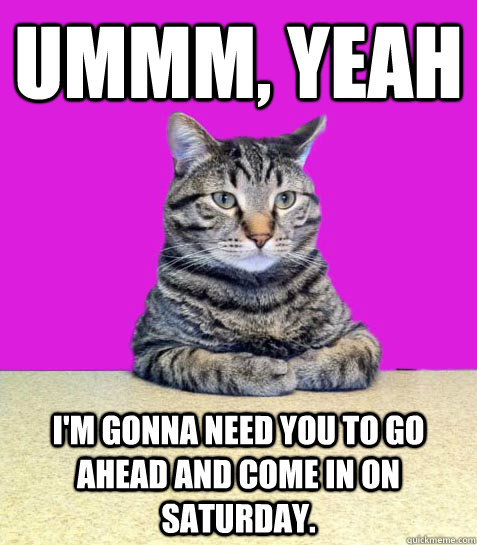 Ummm, yeah I'm gonna need you to go ahead and come in on Saturday.  - Ummm, yeah I'm gonna need you to go ahead and come in on Saturday.   Disappointed Boss Cat