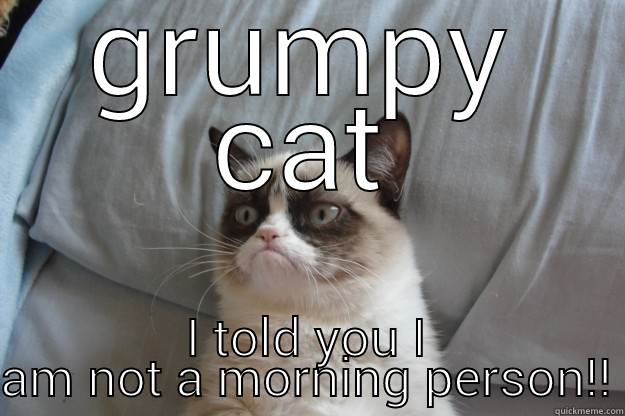 GRUMPY CAT I TOLD YOU I AM NOT A MORNING PERSON!! Grumpy Cat