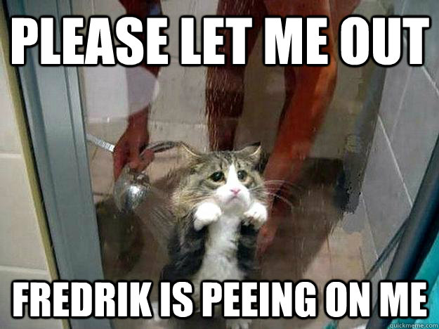 Please let me out Fredrik is peeing on me  Shower kitty
