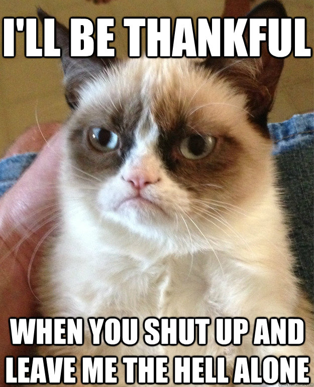 I'll be thankful when you shut up and leave me the hell alone  Grumpy Cat