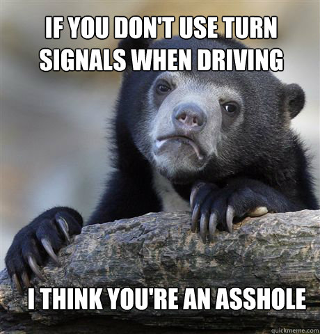 if you don't use turn signals when driving I think you're an asshole  Confession Bear